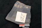 Foto (Detailansicht) von Flabellaria sublongirhachis Ettingshausen (NHMW-GEO-2024-0188-10231)